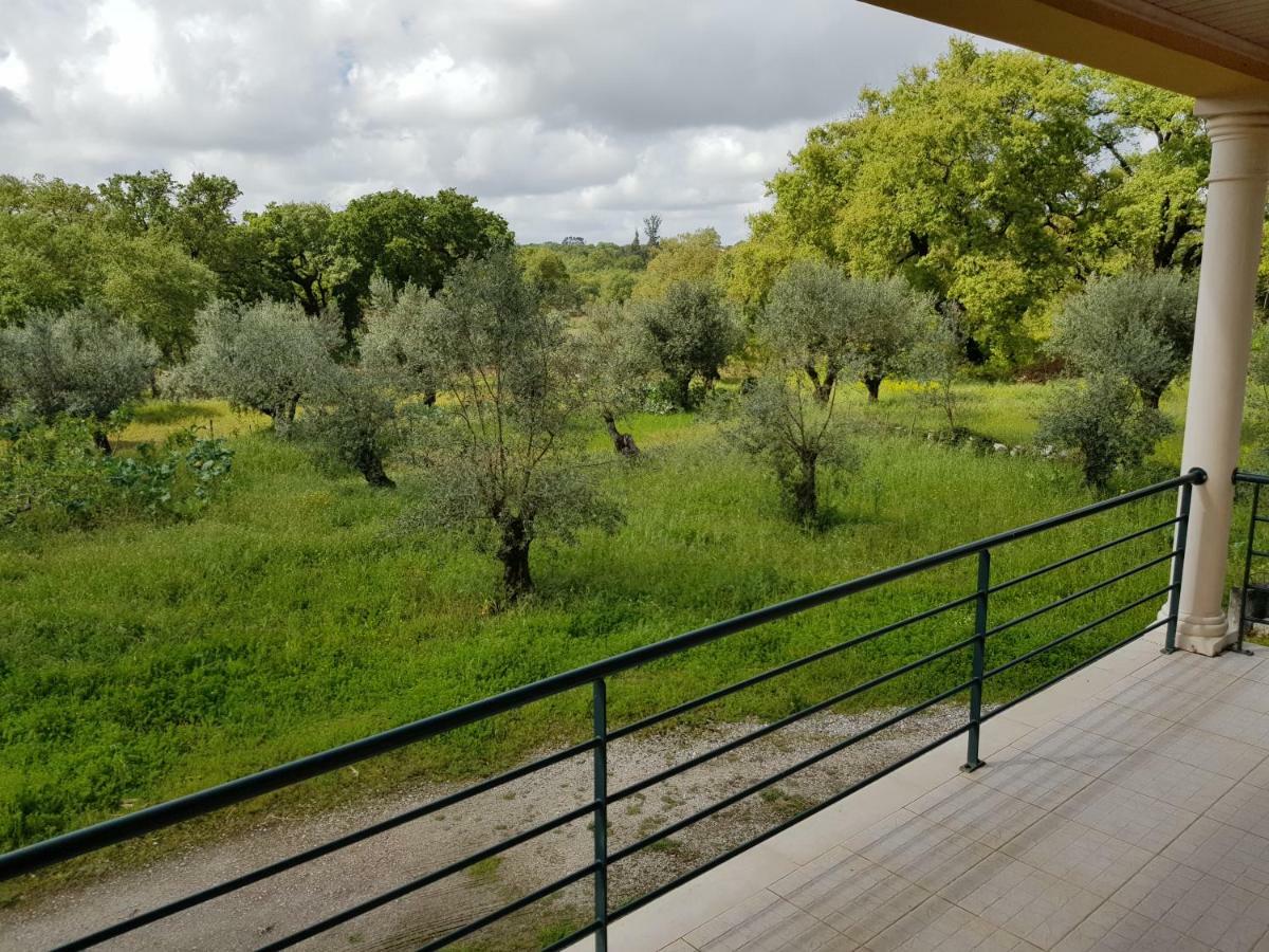 Casa Da Floresta Santiago da Guarda Εξωτερικό φωτογραφία